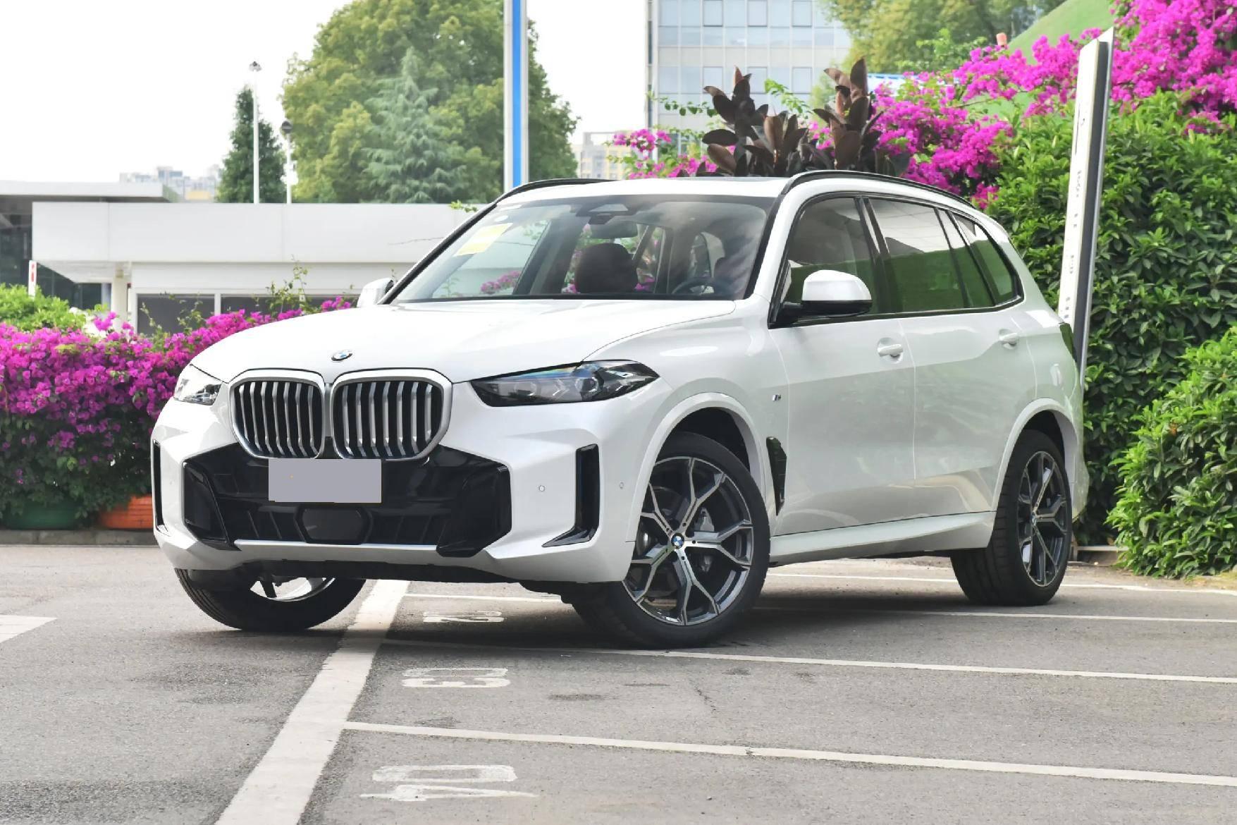 BMW X5 xDrive30Li 2025