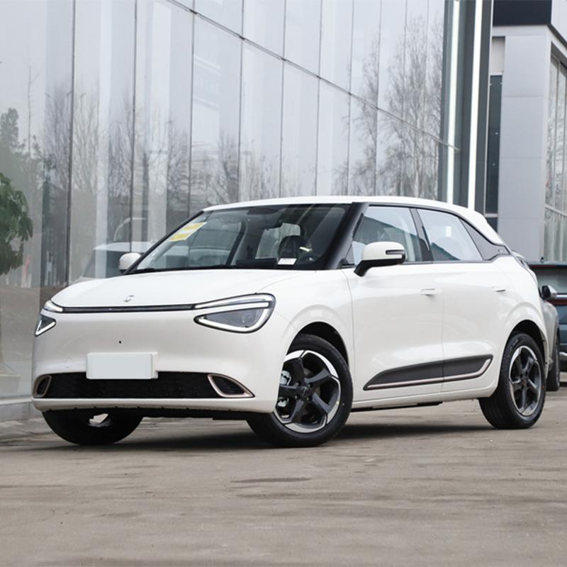 Dongfeng Nano 01 2026